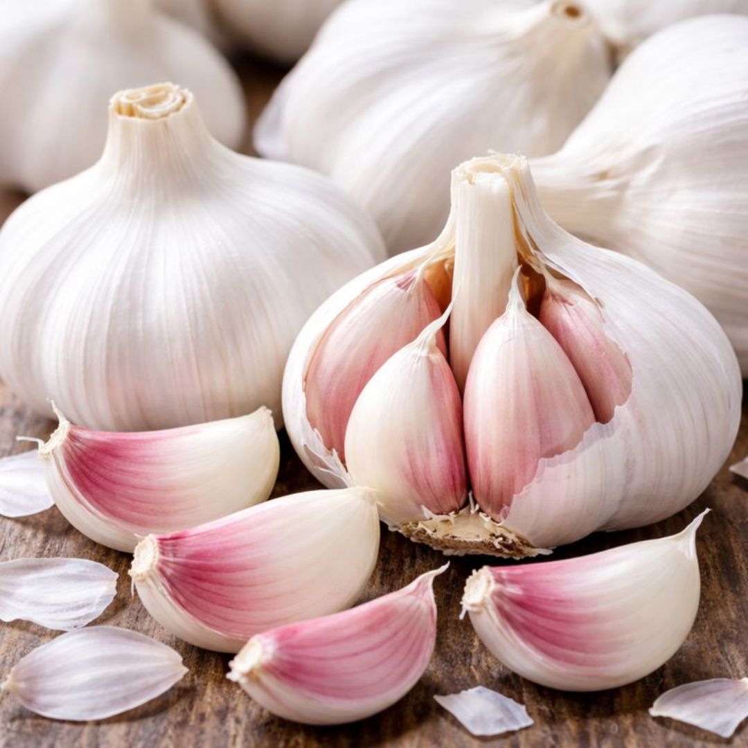 Hvitløk ‘Morado’ – Spansk sort med lilla fedd og fyldig smak (250 g)