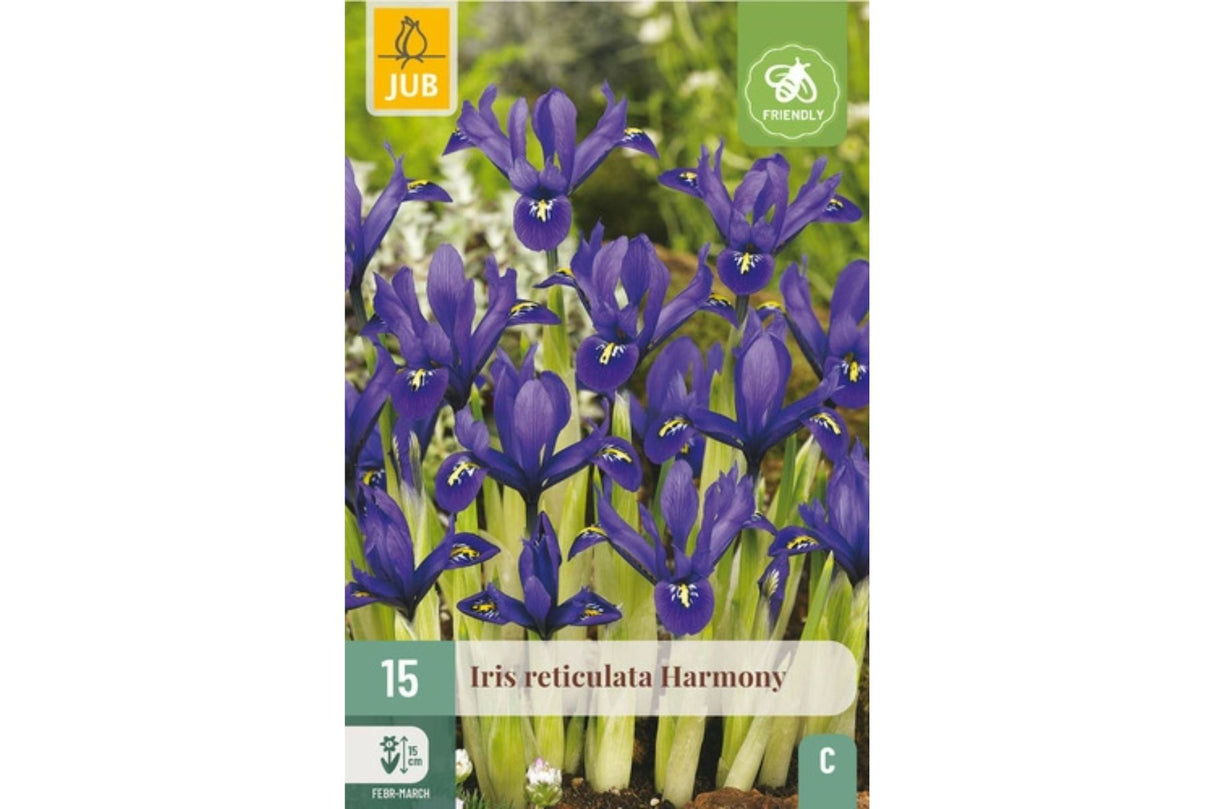 Iris ‘Harmony’ – Dypblå dvergiris for potter og tidlig blomstring (15 blomsterløk)