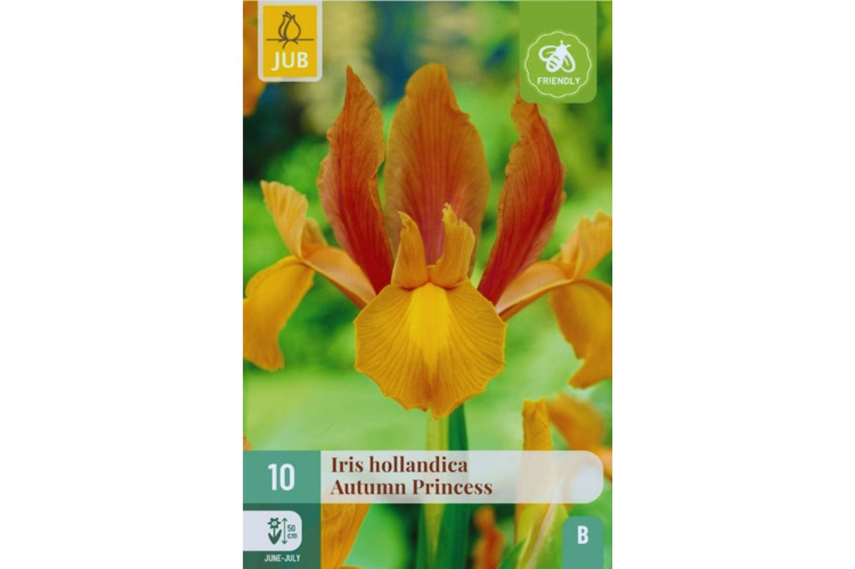 Iris ‘Autumn Princess’ – Tofarget Hollandiris i bronse og oransje (10 blomsterløk)