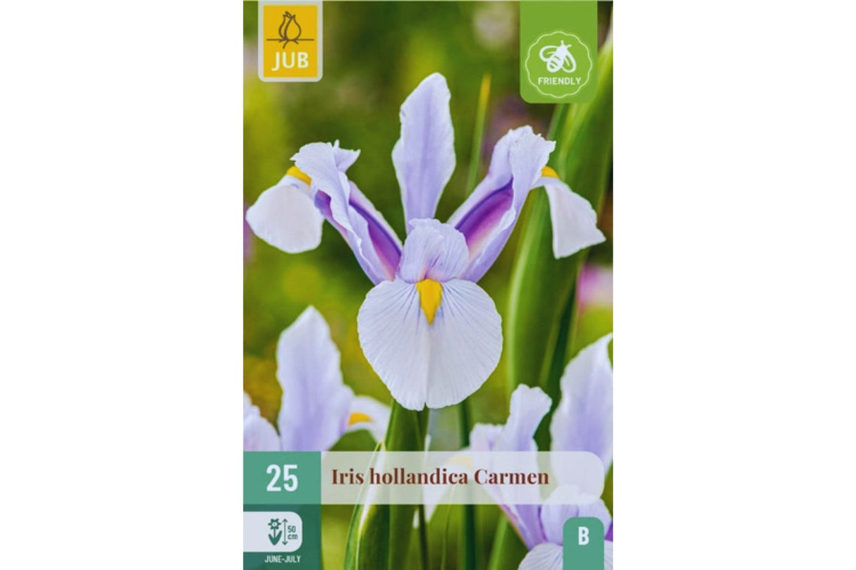 Iris ‘Carmen’ – Hollandiris i lavendel, hvitt og gult (25 blomsterløk)