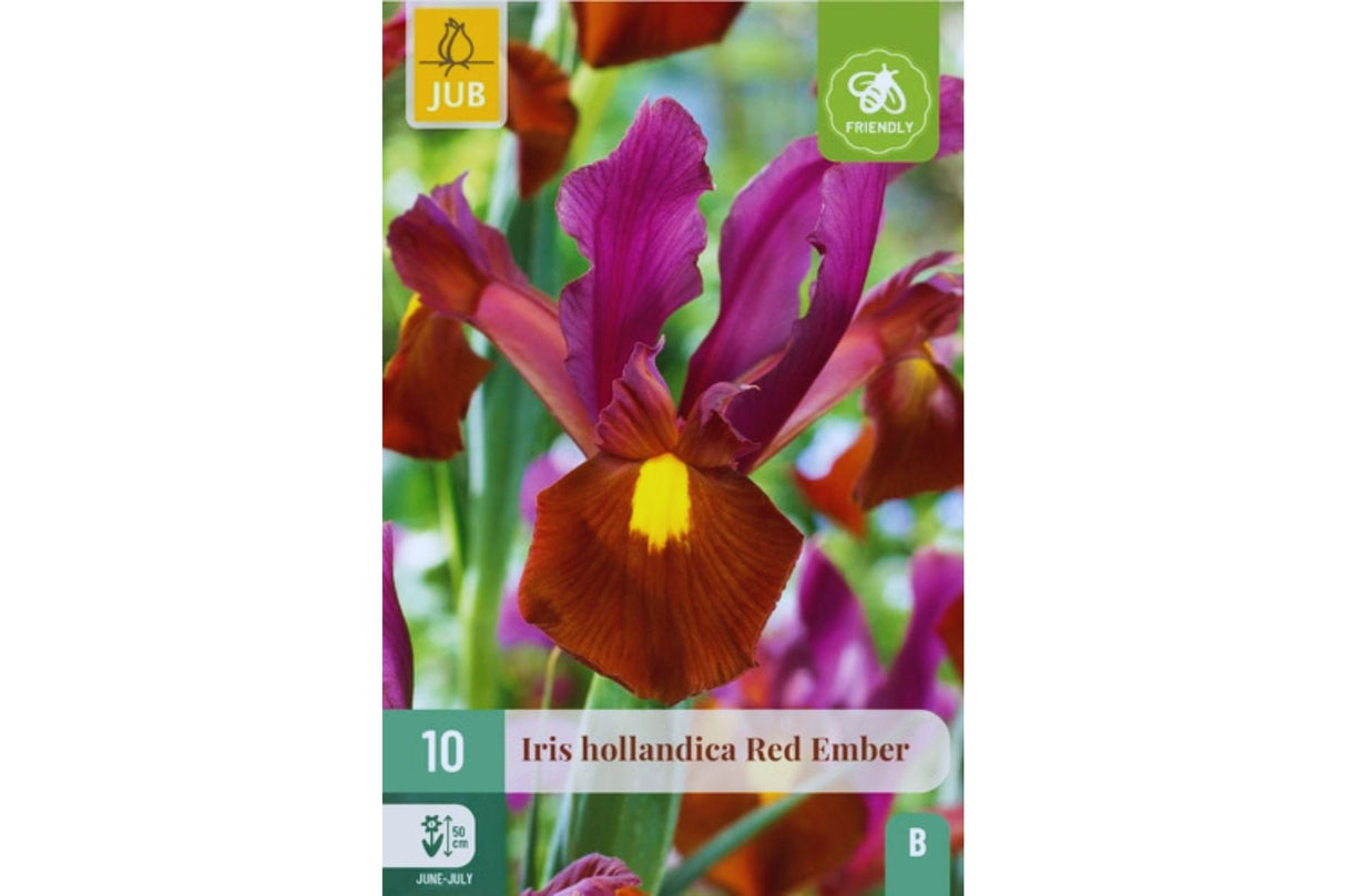 Iris ‘Red Ember’ – Hollandiris i rødlig lilla og bronse (10 blomsterløk)