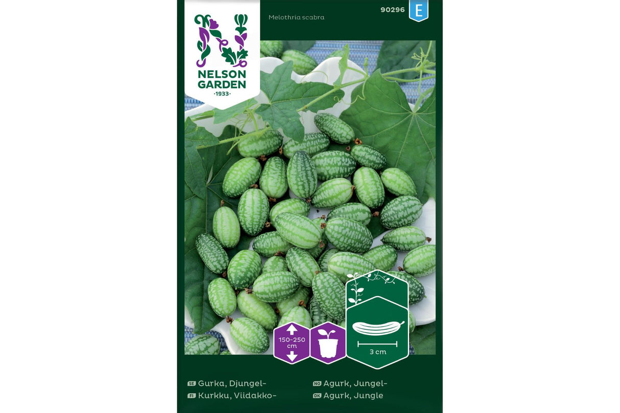 Jungelagurk – Eksotisk, slyngende grønnsak med små agurklignende frukter