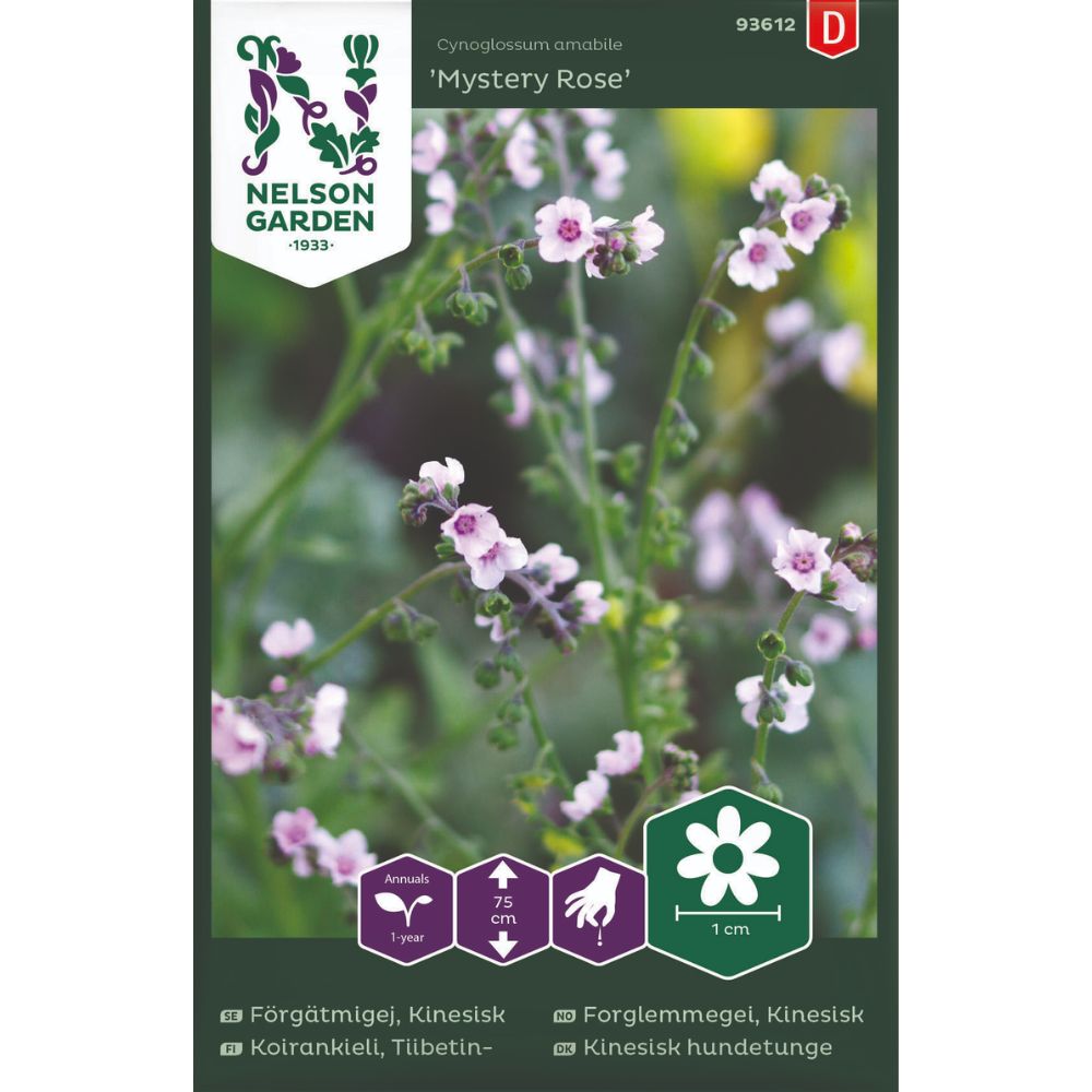 Kinesisk forglemmegei Mystery Rose med lyserosa blomster i blomsterbed