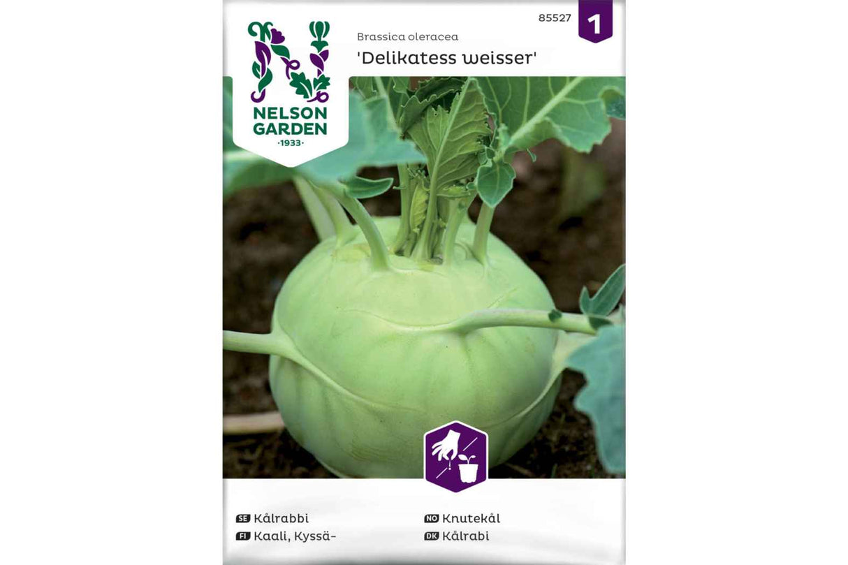 Knutekål 'Delikatess Weisser' – Sprø og Delikat Rotfrukt