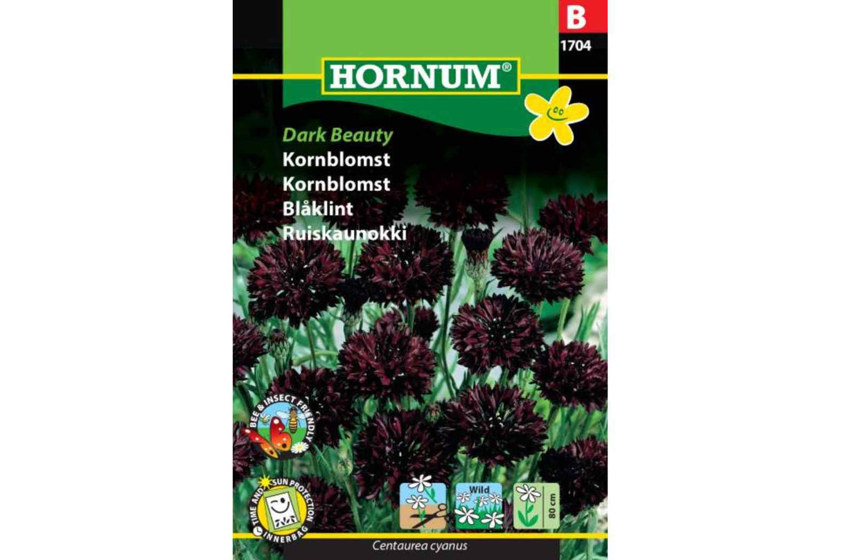 Frø Kornblomst ‘Dark Beauty’ – Ettårig villkornblomst med dype fargetoner