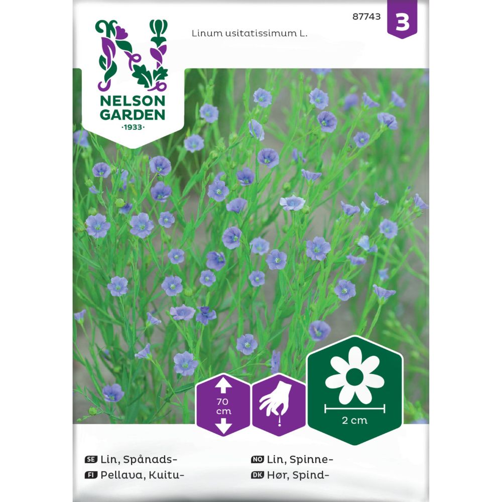 Økologisk kornvalmue i blomstring