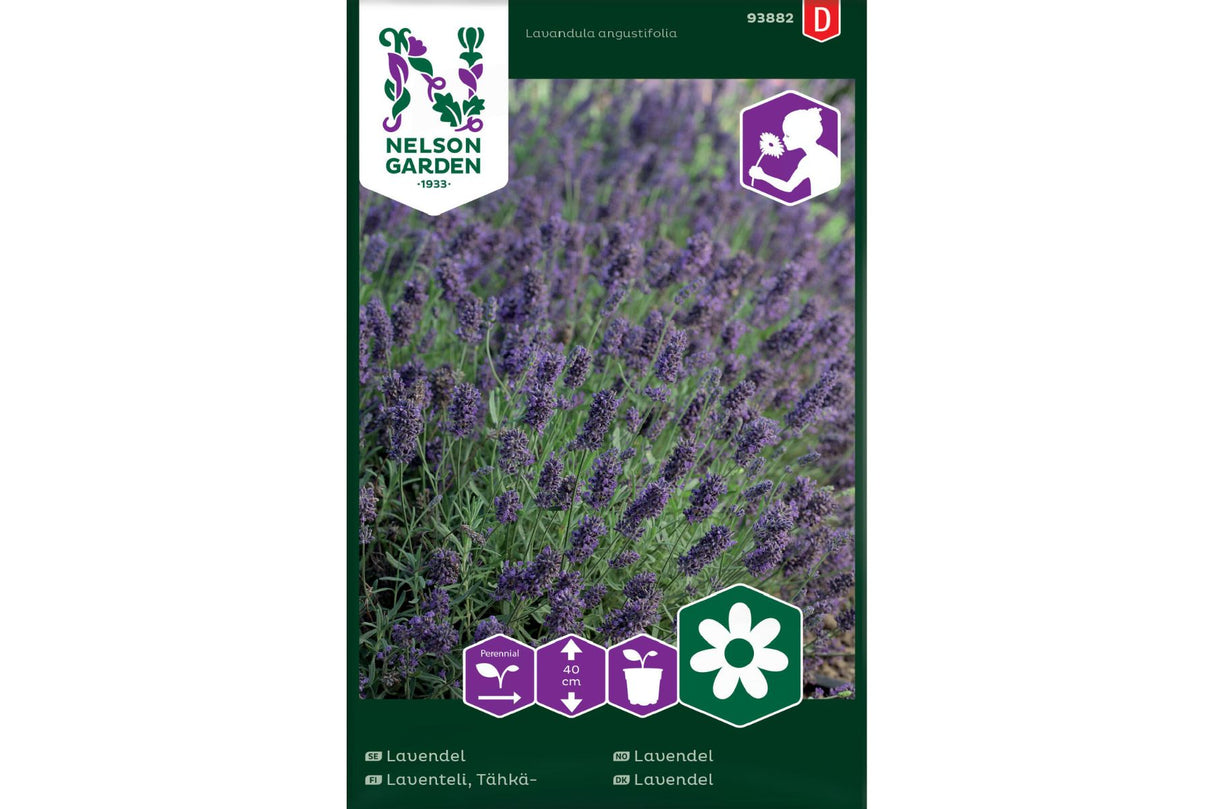 Lavendel – Duftende blå blomster for bier, sommerfugler og tørking