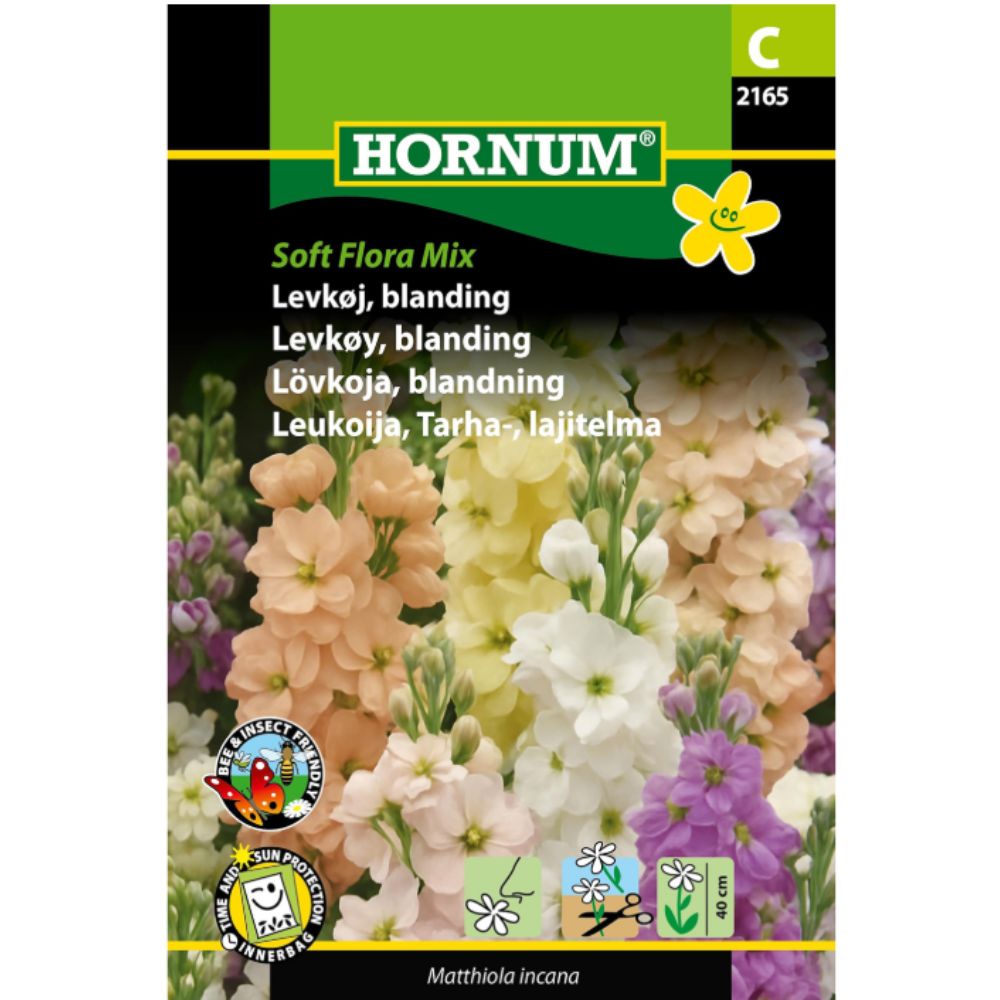 Levkøy i myke fargetoner i blomsterbed