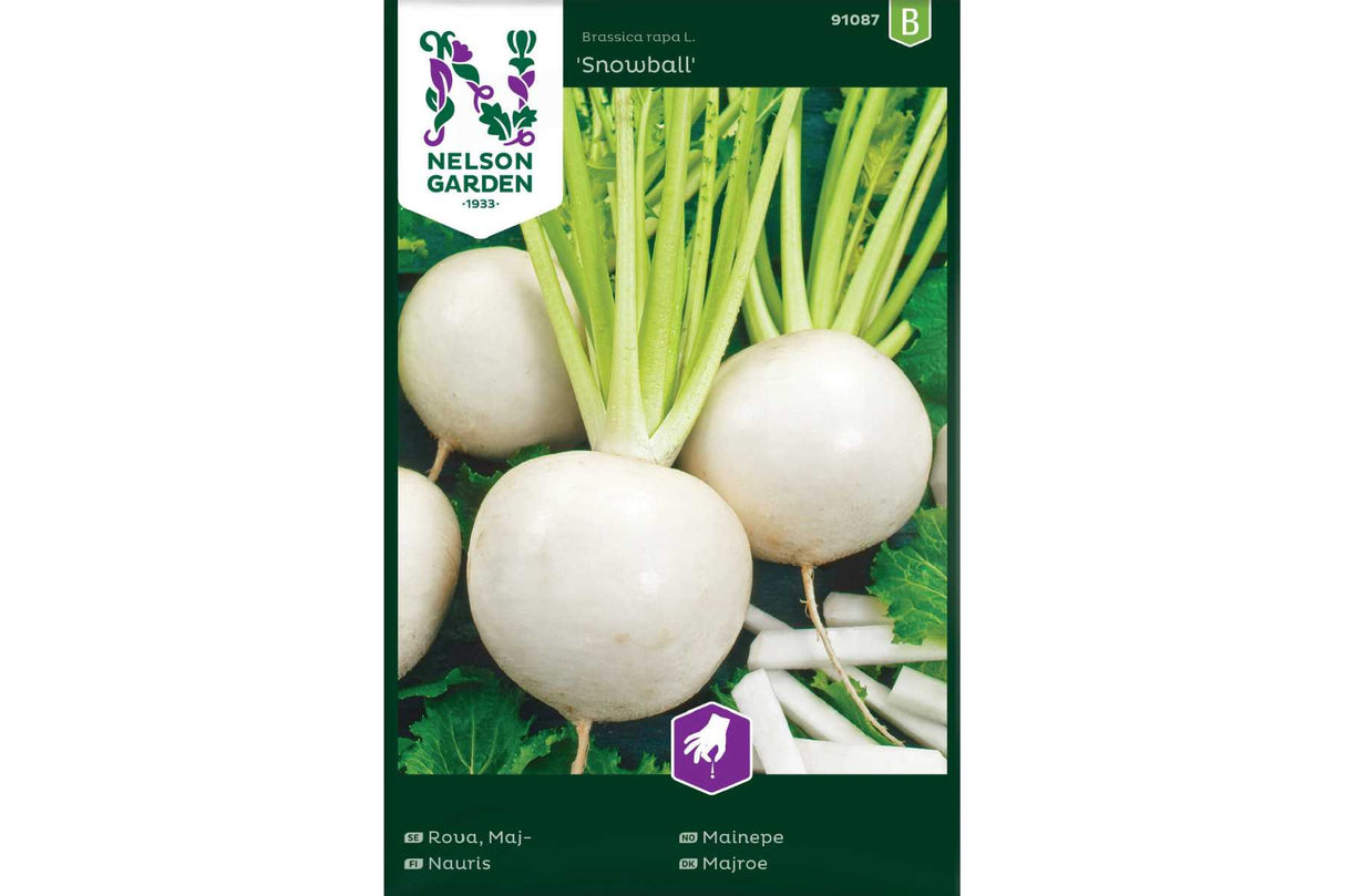 Mainepe 'Snowball' – Delikat og Hurtigvoksende Rotgrønnsak