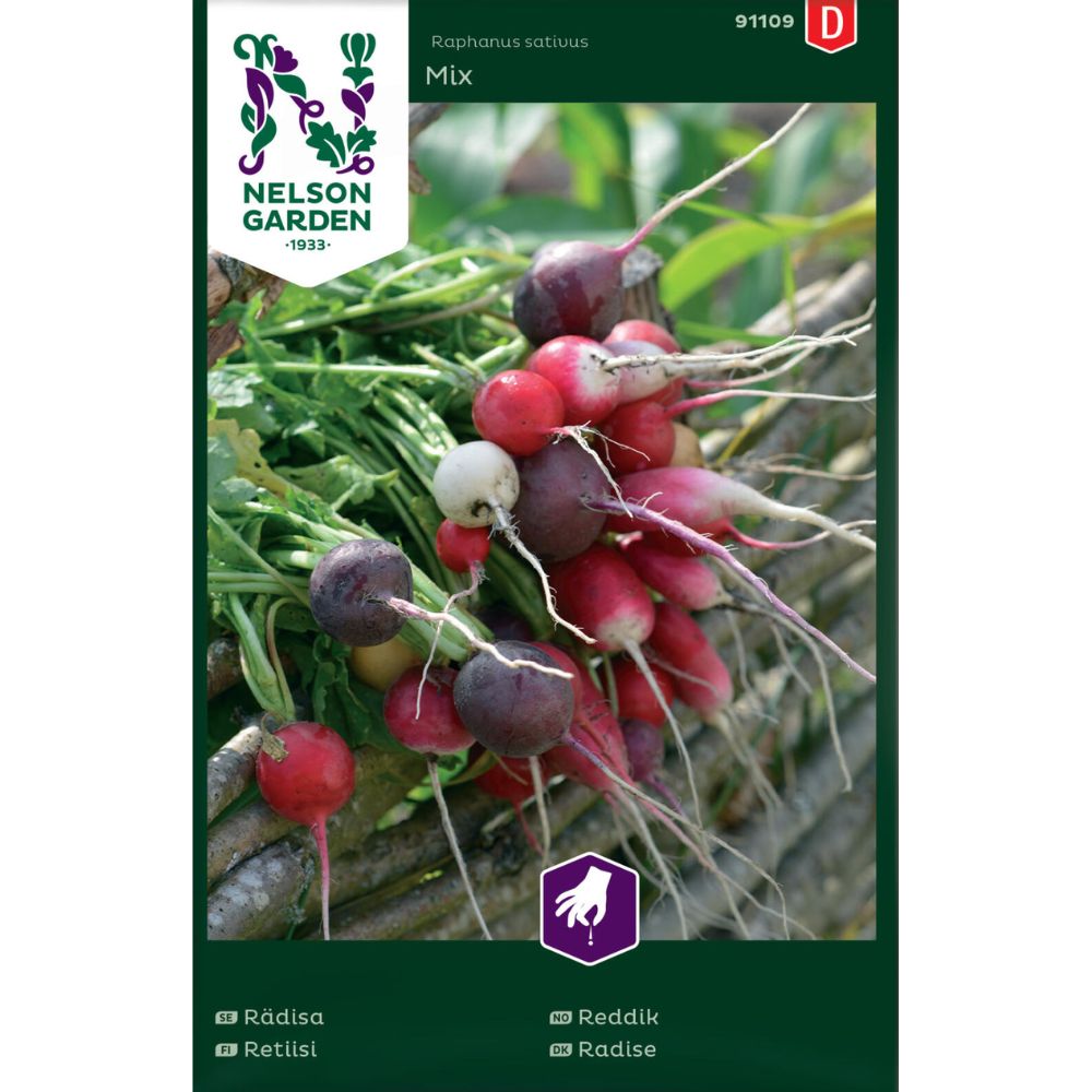 Fargerike reddiker fra Månedsreddik Mix høstet i kjøkkenhagen.