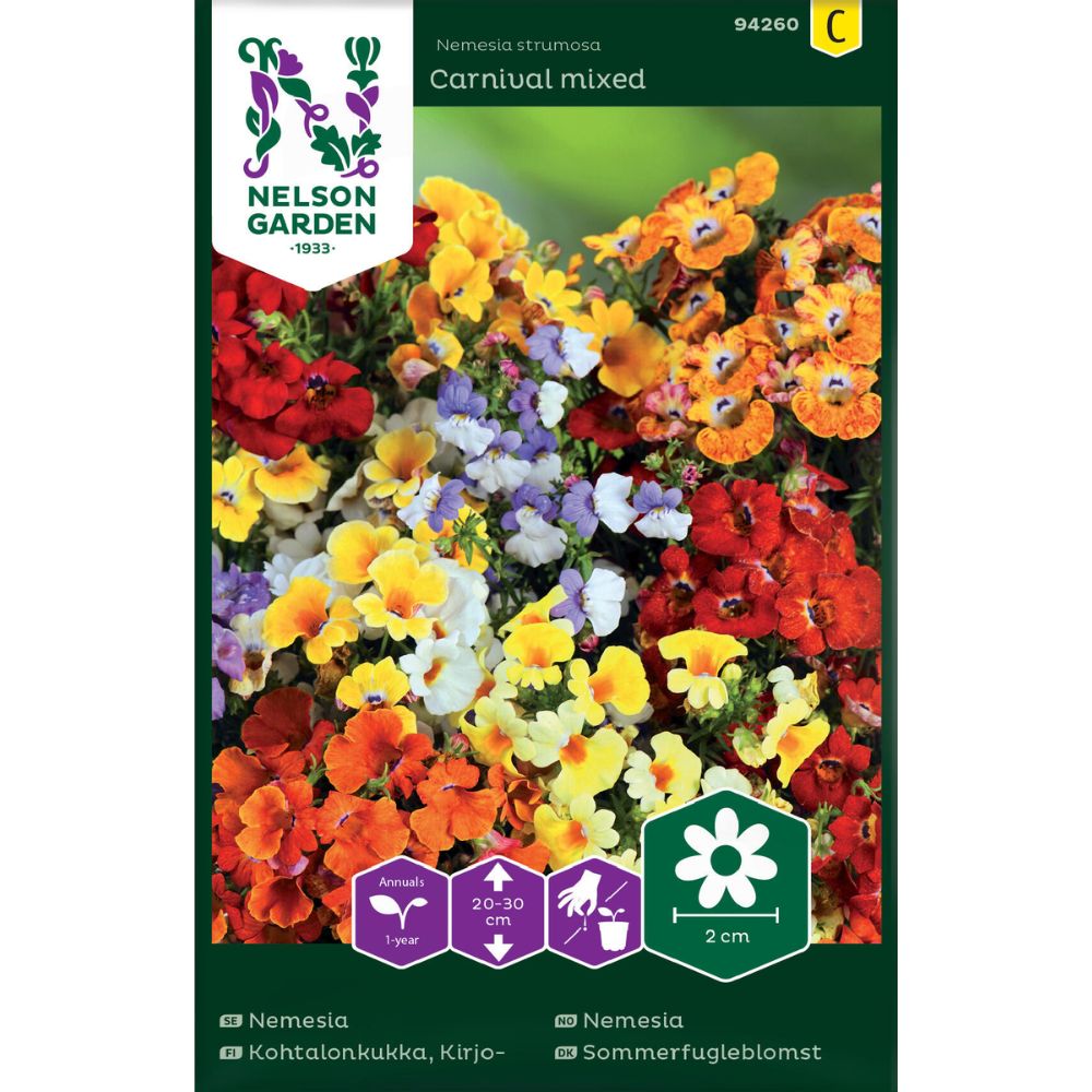 Nemesia Carnival mixed i flere farger i blomsterbed