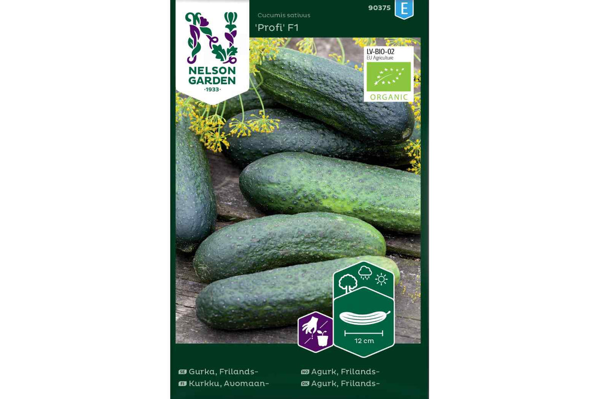 Frø Økologisk Drueagurk ‘Profi F1’ – Frilandsagurk for sylting