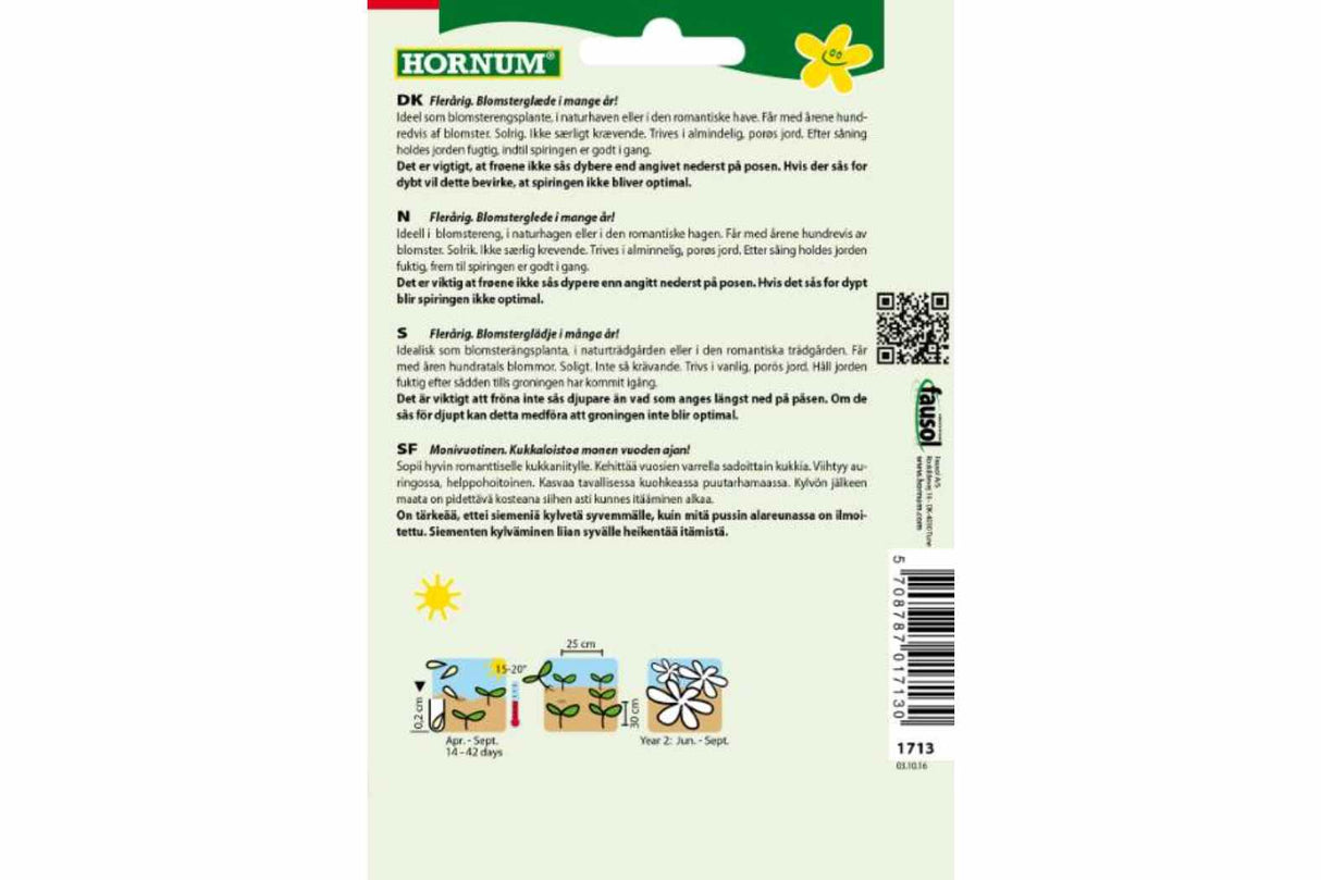 Okseøye 'Danish Beauty' – Flerårig staude for blomstereng og naturhage