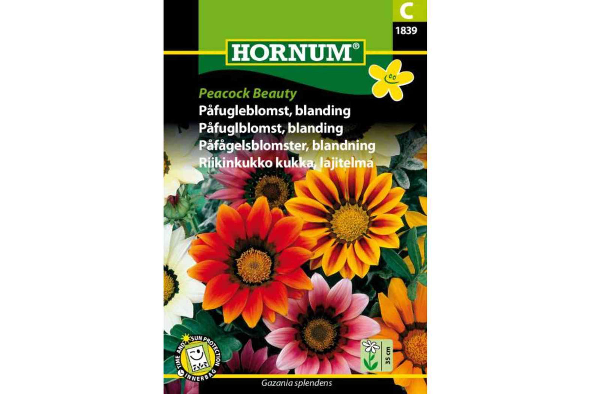 Påfuglblomst 'Peacock Beauty' – Ettårig sommerblomst i gyldne farger