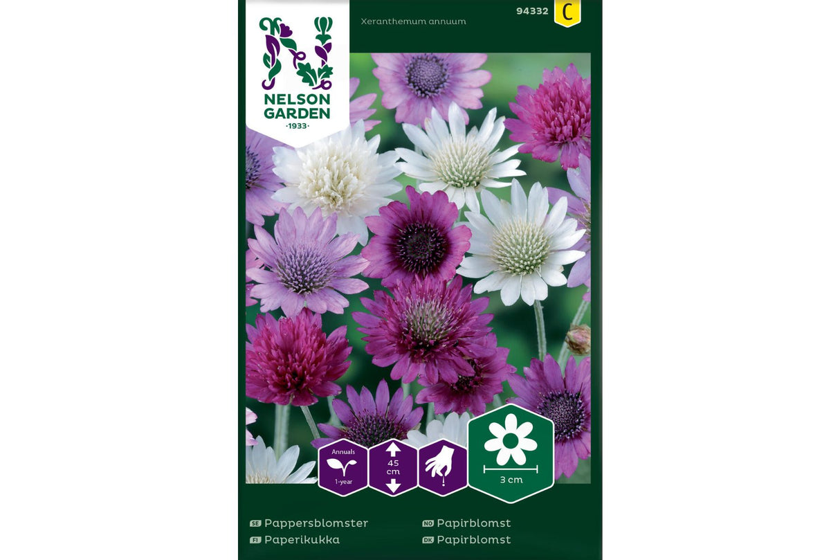 Papirblomst – Silkematt evighetsblomst i rosa, lilla og hvitt