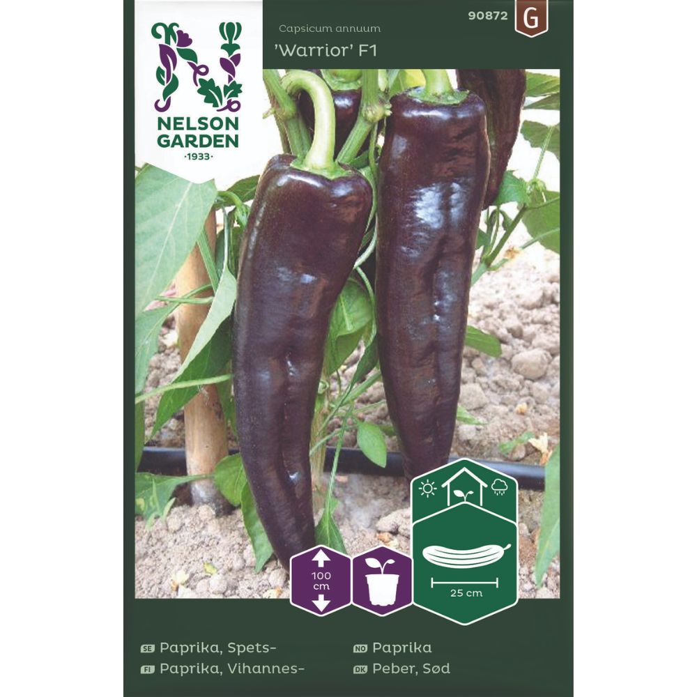 Paprika Warrior F1 med mørke frukter