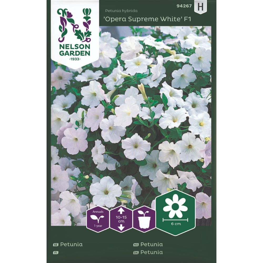 Hengende petunia med hvite blomster i ampel