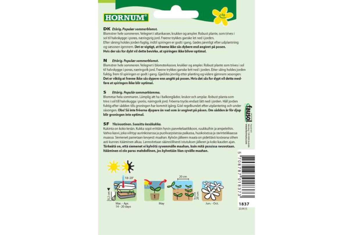 Frø Petunia, Blanding ‘Pretty Garden’ – Fargerik Sommerblomst for Krukker og Ampler