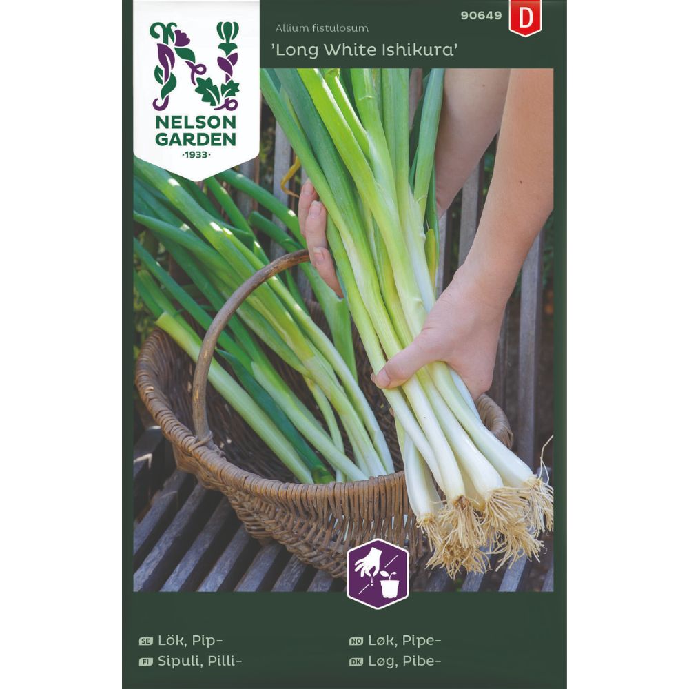 Mild pipeløk Long White Ishikura klar til bruk