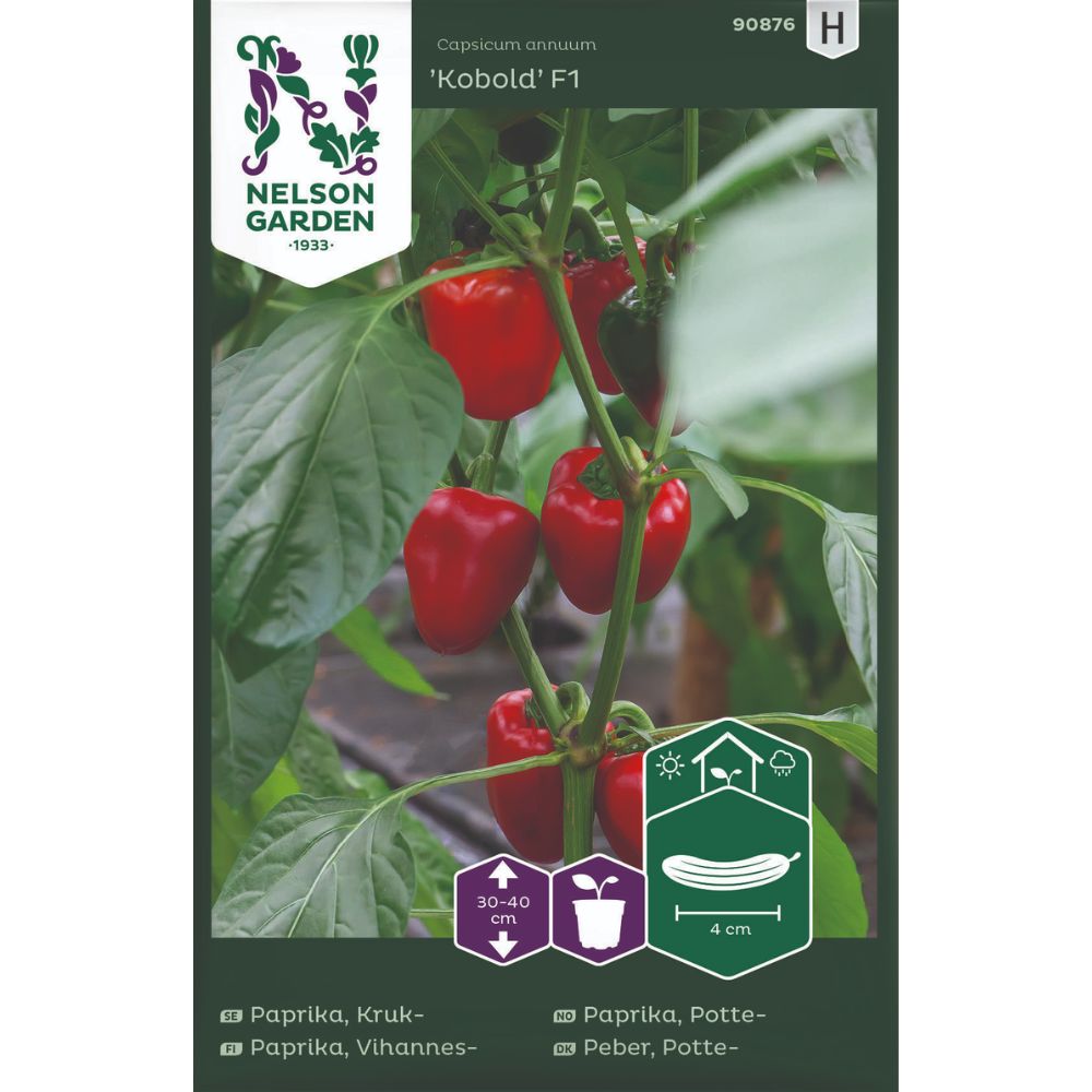 Pottepaprika ‘Kobold’ F1 – kompakt sort med små, søte frukter