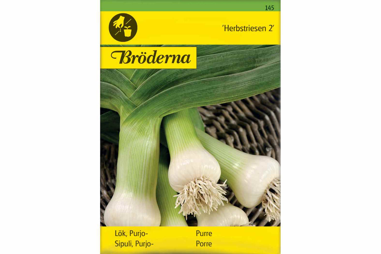 Purre 'Herbstriesen 2' – Høstsort som Tåler Kulde