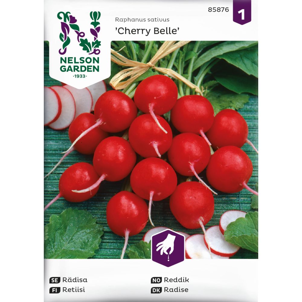 Høstede reddiker ‘Cherry Belle’ klare til bruk i salat