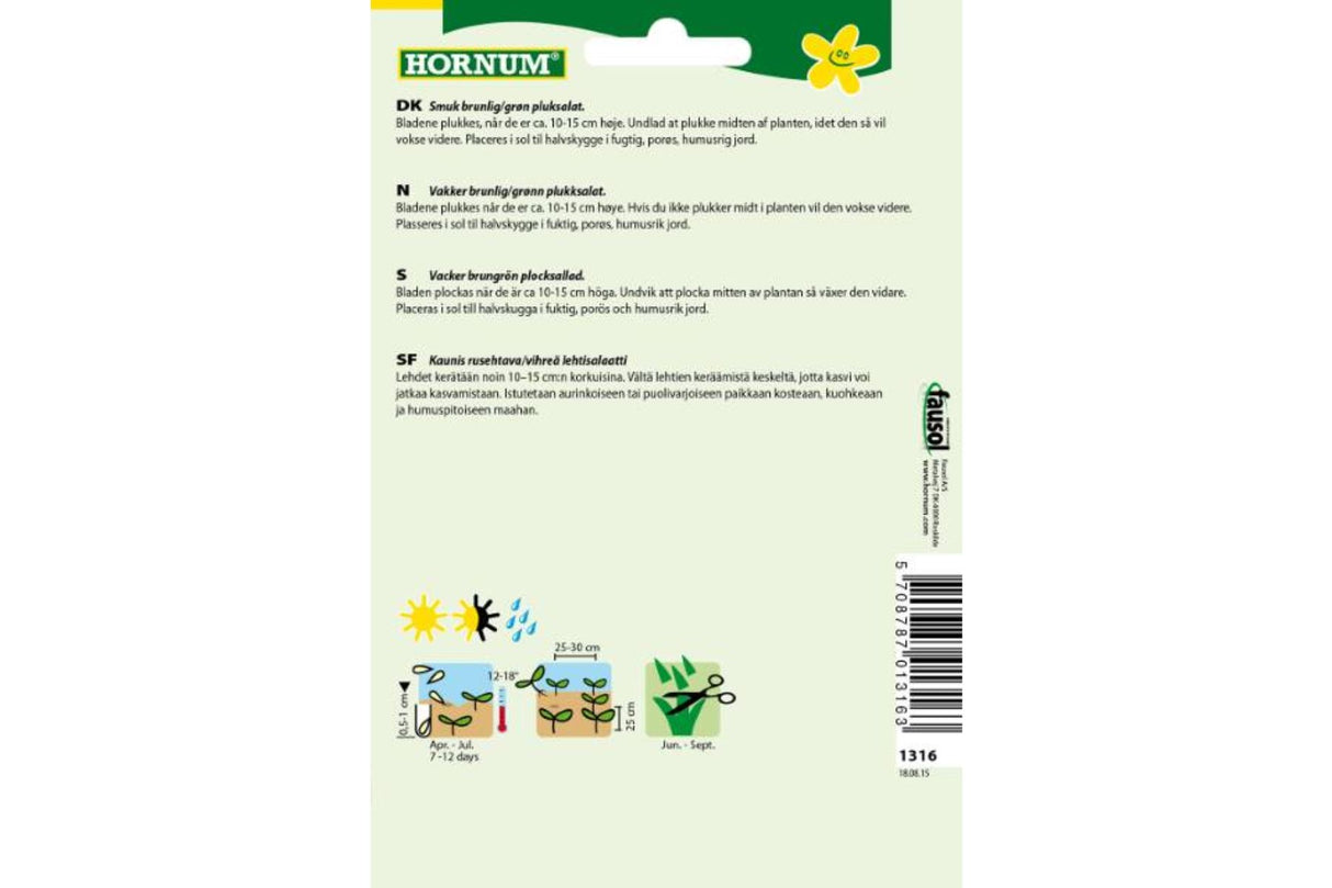 Salat Plukk Amerikanischer – Sprø plukksalat i brungrønn farge