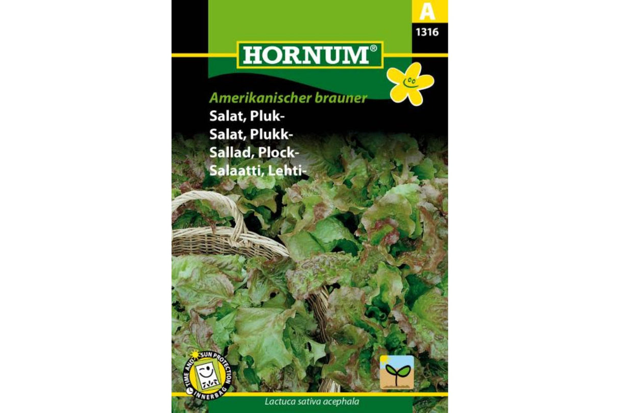 Salat Plukk Amerikanischer – Sprø plukksalat i brungrønn farge