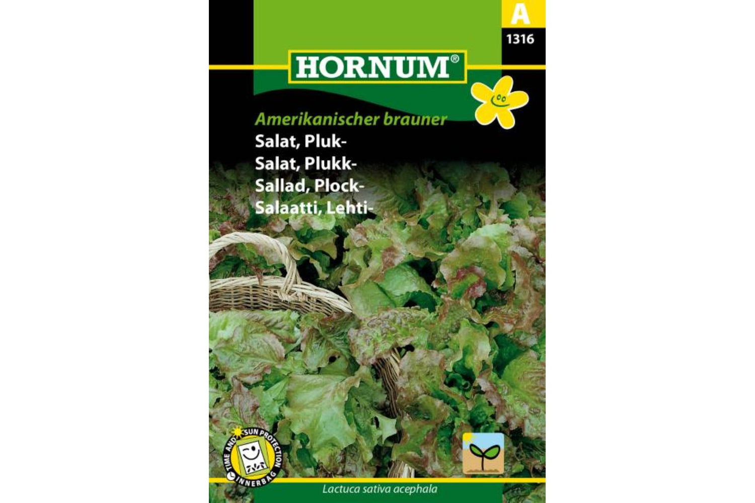 Salat Plukk Amerikanischer – Sprø plukksalat i brungrønn farge