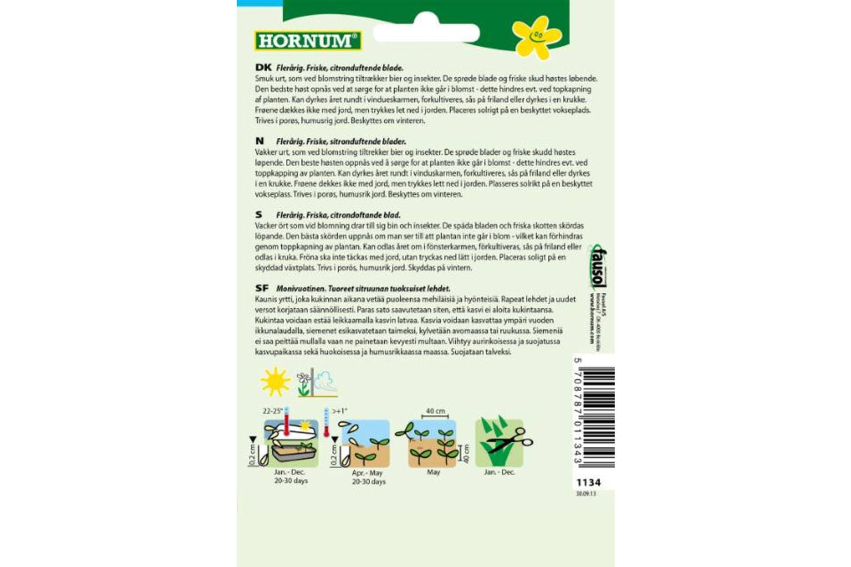 Sitronmelisse Lima – Flerårig urt med frisk sitronduft