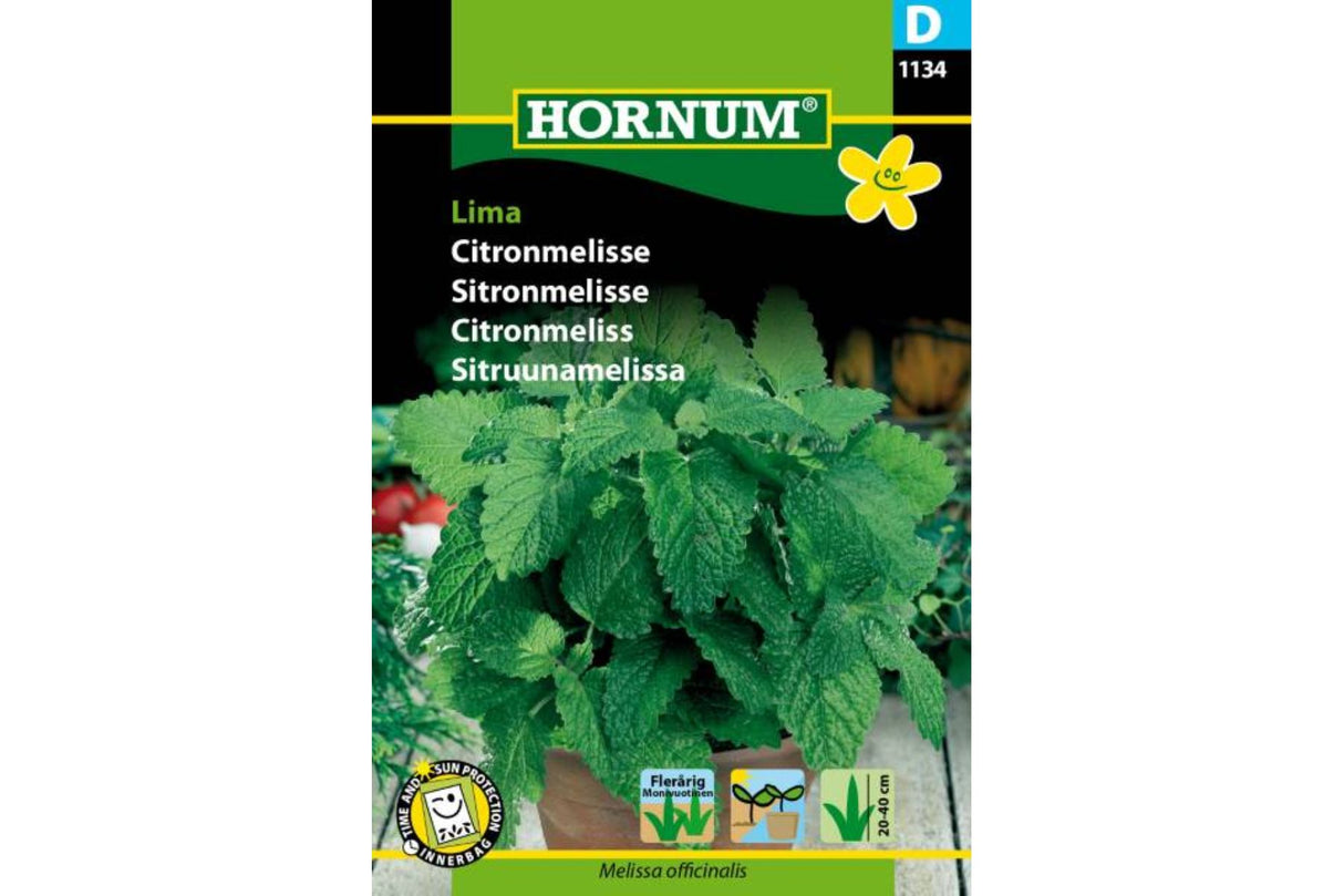 Sitronmelisse Lima – Flerårig urt med frisk sitronduft