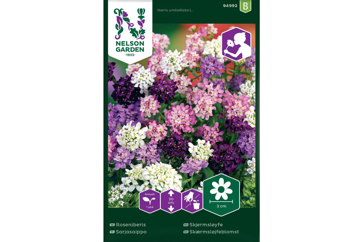 Skjermsløyfe – Lav og fargerik kantplante i rosa, lilla og hvitt