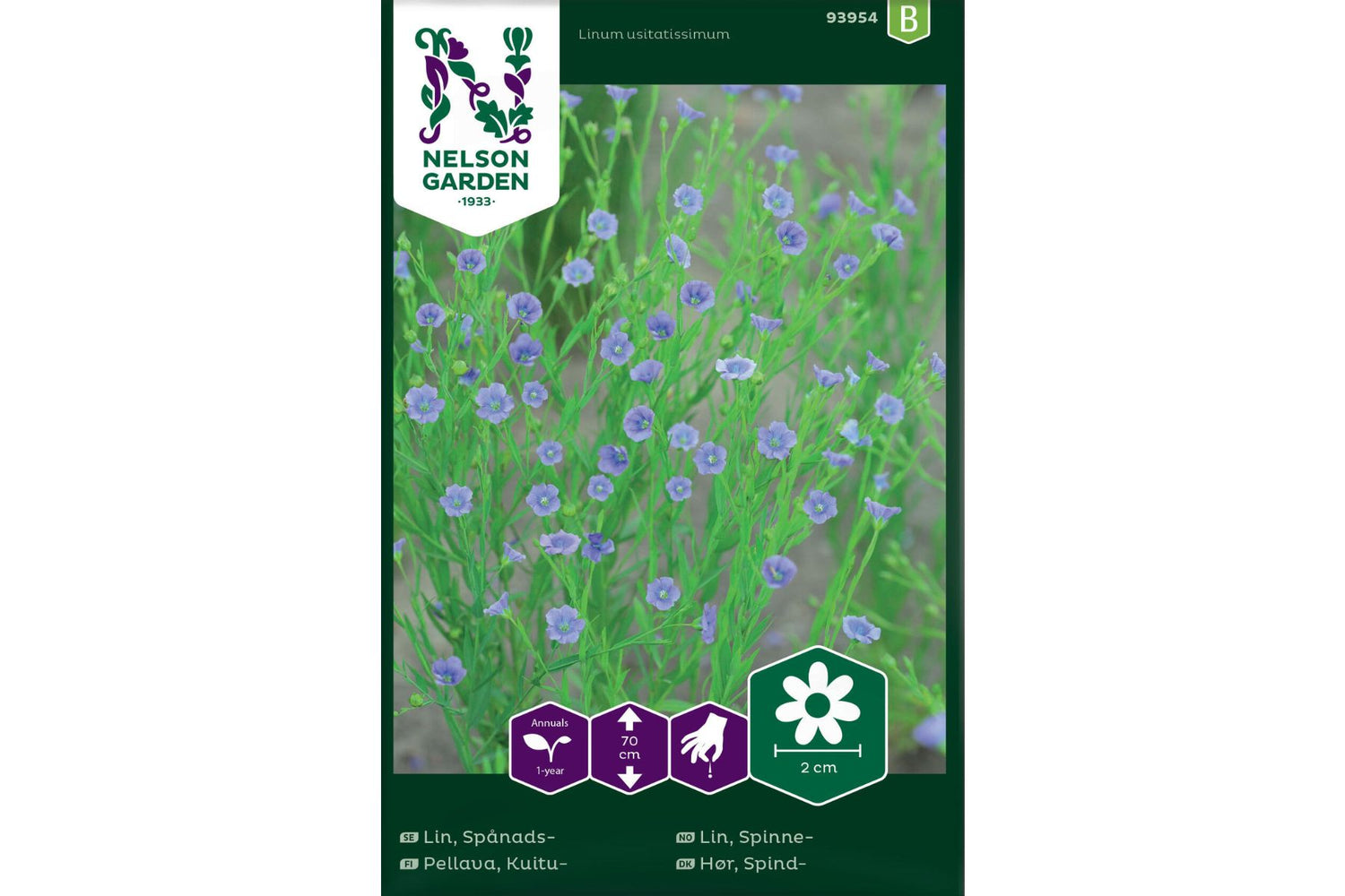 Spinnelin – Delikat sommerblomst med blå blomster og dekorative frøkapsler