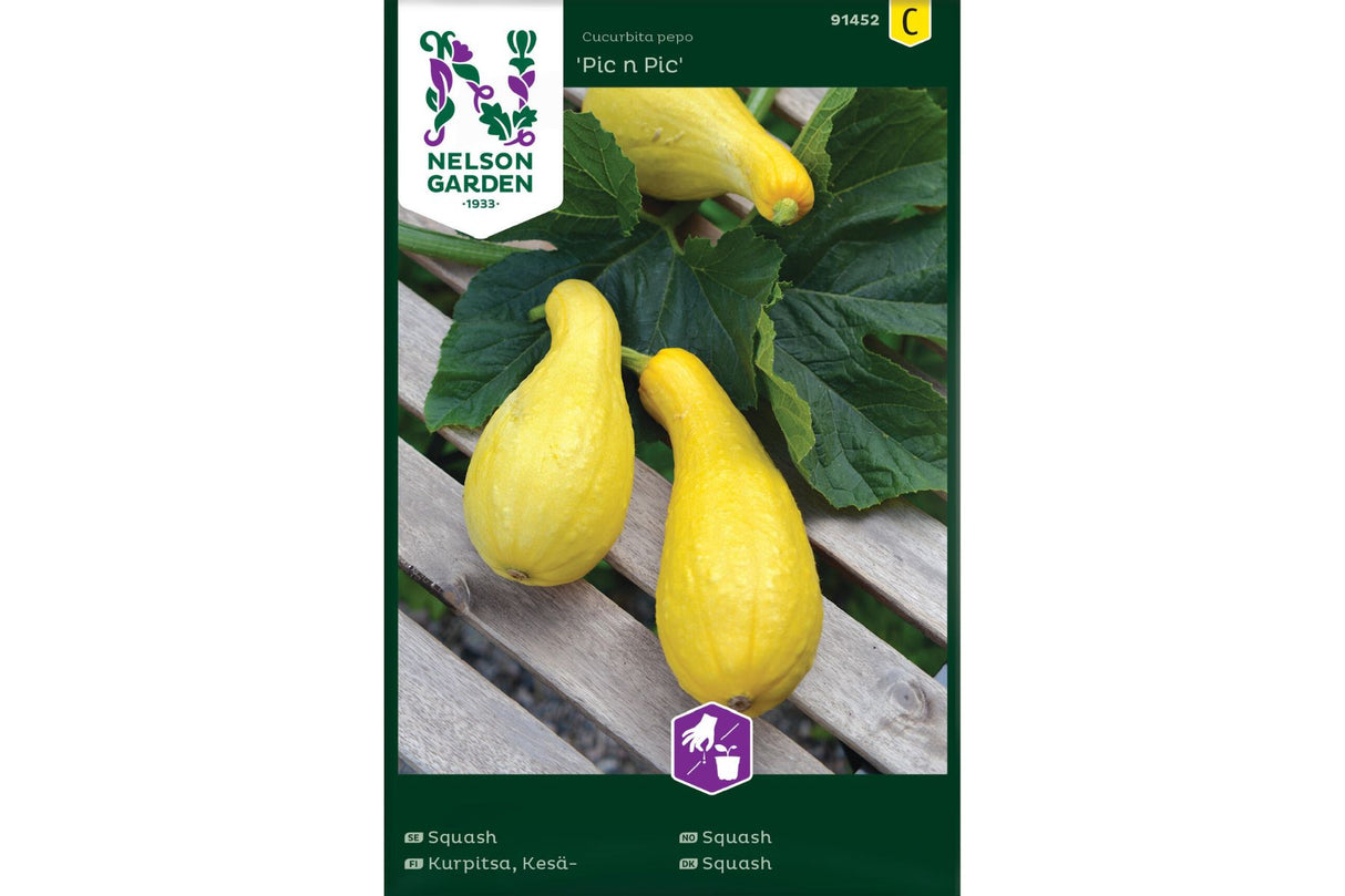 Squash 'Pic n Pic' – Gul squash for potte og kjøkkenhage med lang høstesesong