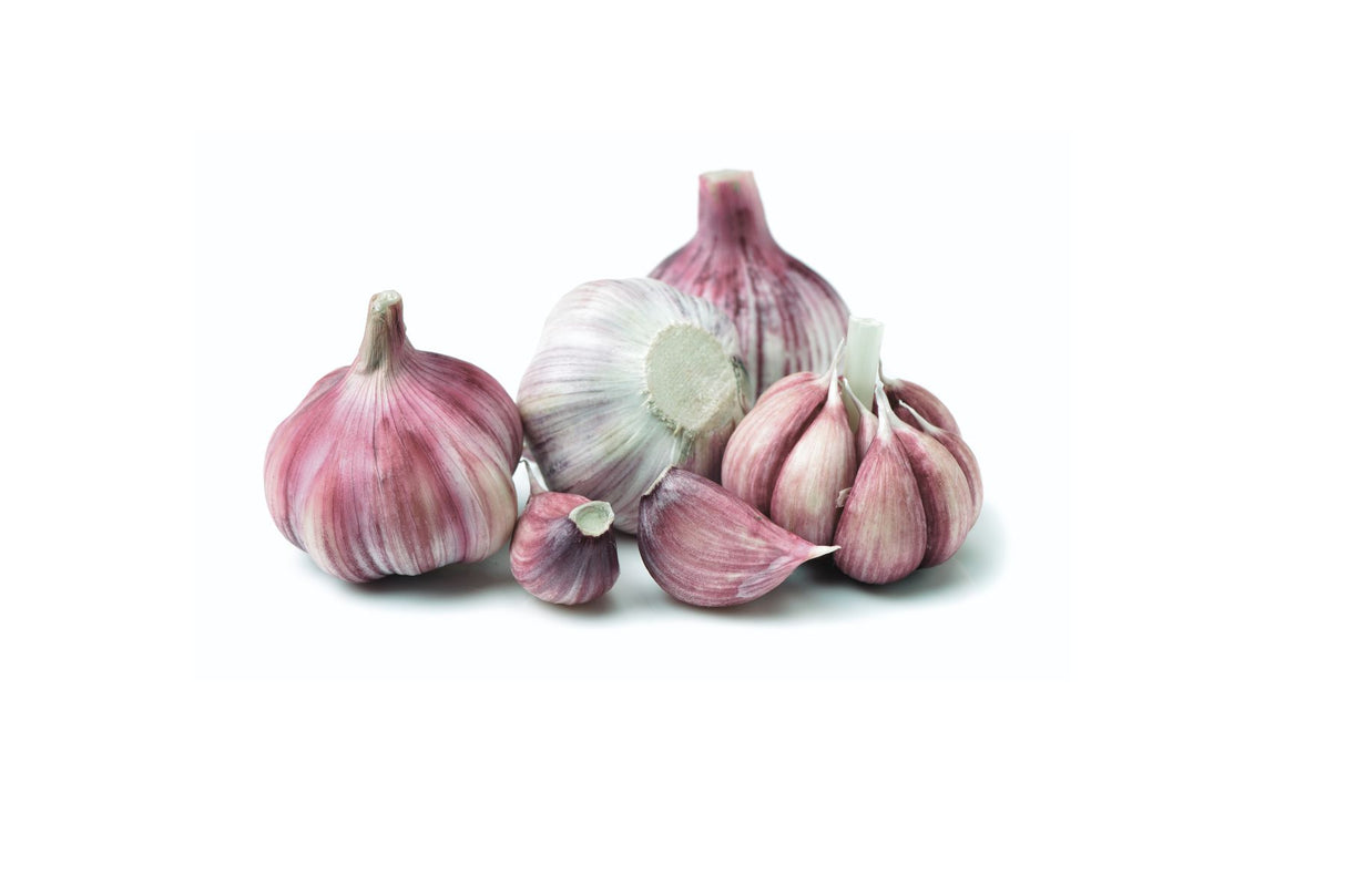 Stikkløk Hvitløk ‘Germidour’ – Mild smak og god lagringsevne