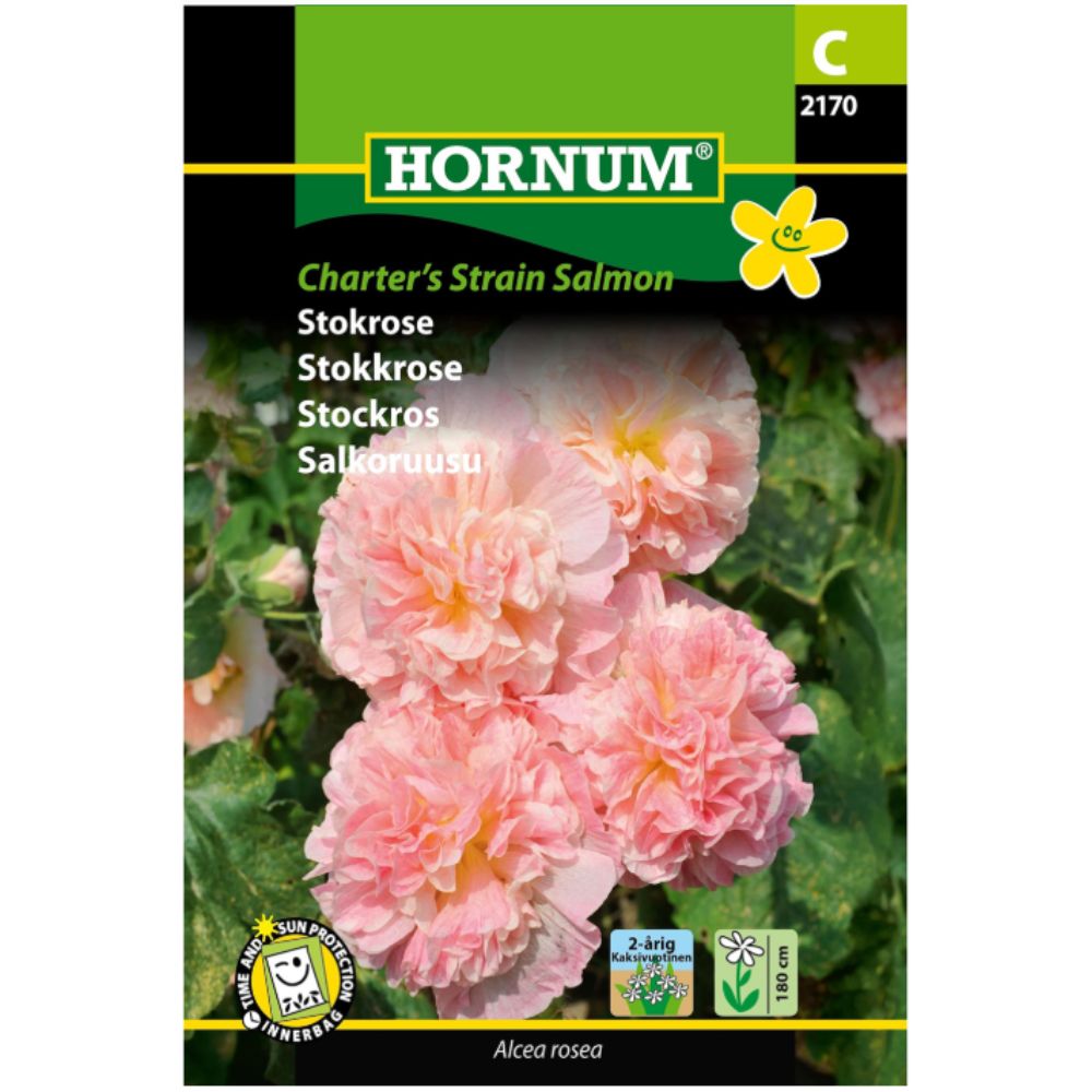 Stokkrose ‘Charters Strain Salmon’ med fylte blomster