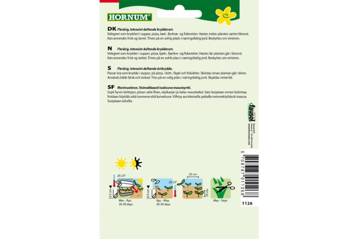 Timian Di Roma – Klassisk krydderurt med intens aroma