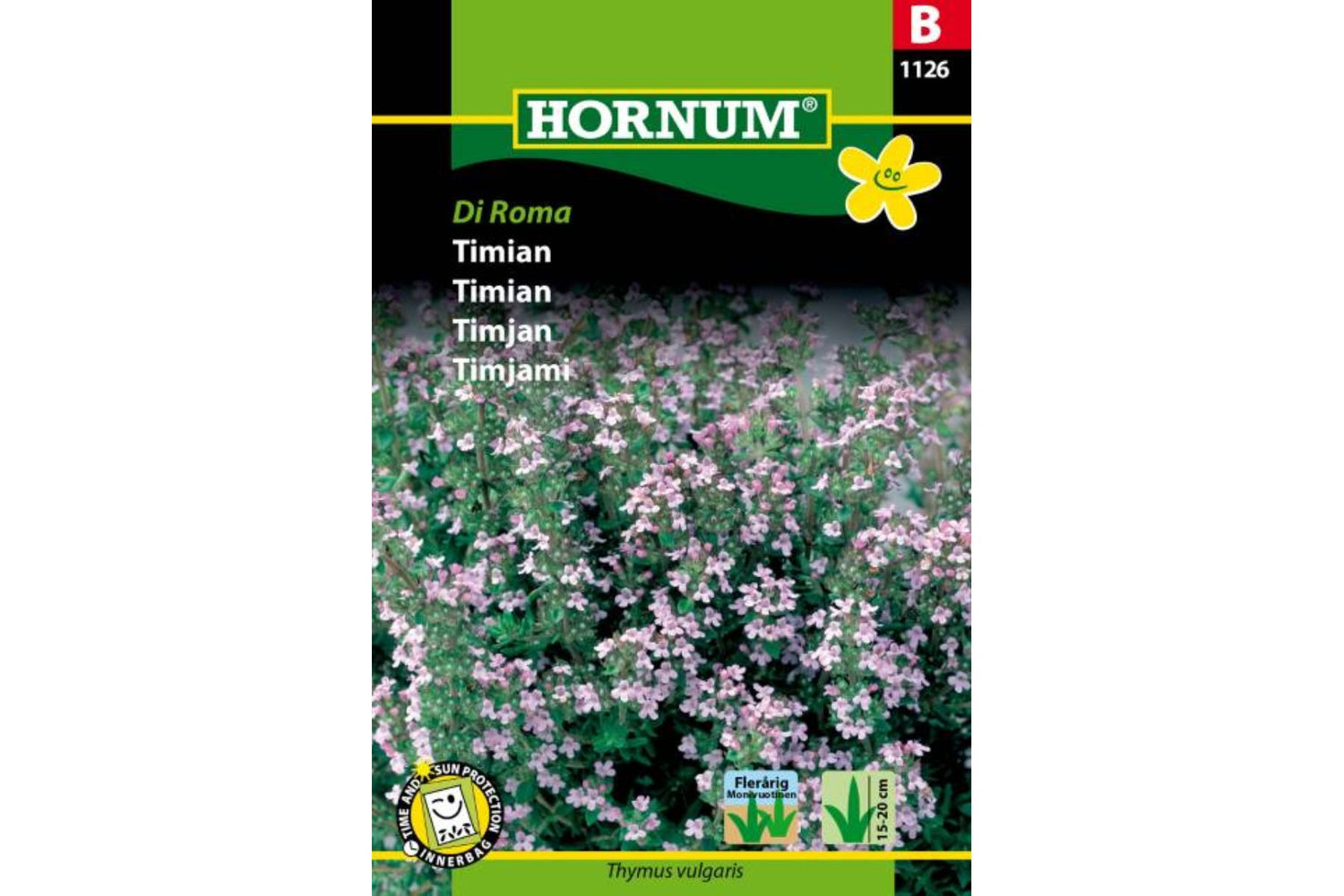 Timian Di Roma – Klassisk krydderurt med intens aroma