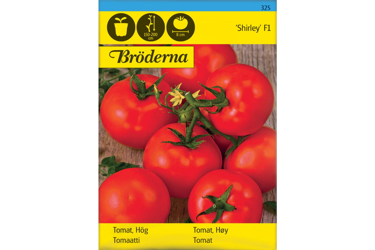 Tomat Shirley F1 – 325 | Høy og produktiv tomatsort for drivhus