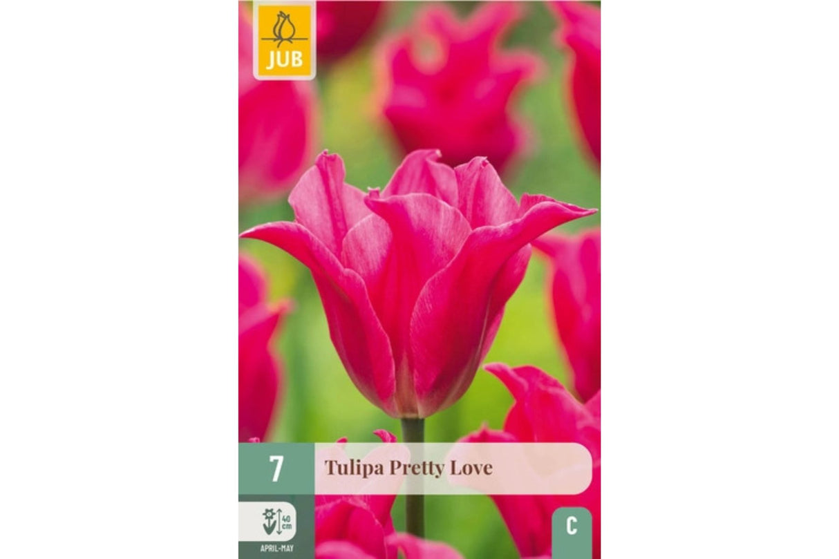 Tulipan ‘Pretty Love’ – Slank og stilren tulipan i dyp rosa (7 løk)