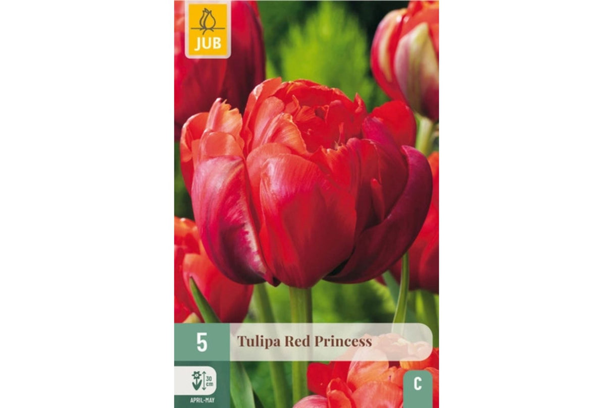 Tulipaner ‘Red Princess’ – Fyldig og rød som fløyel (5 blomsterløk)