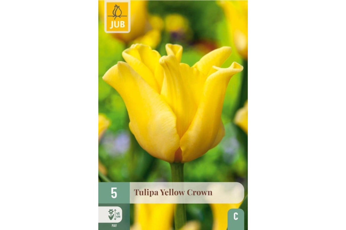 Tulipaner ‘Yellow Crown’ – Gyllengul majestet med kroneform (5 blomsterløk)