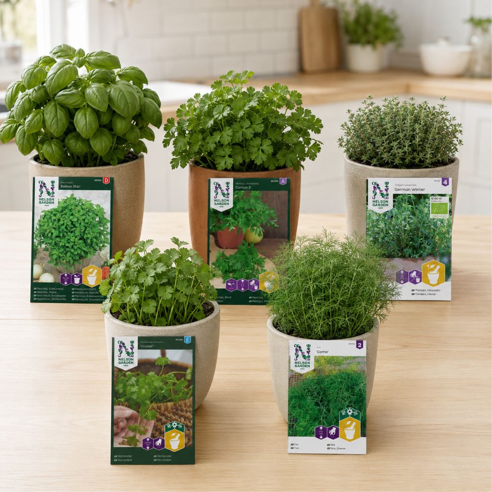 Nelson Garden basilikum, persille, timian, koriander og Como dill
