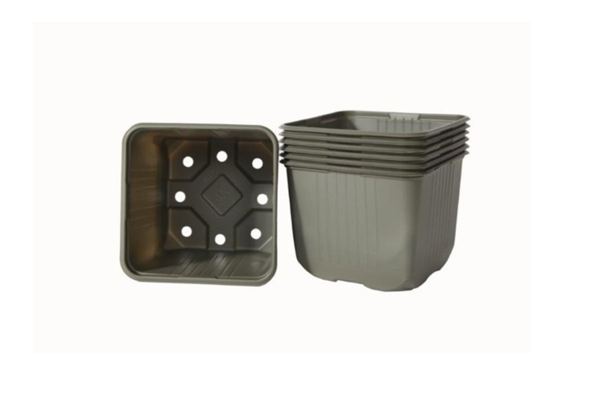 VEFI Biopotter 11x11 cm grønn – 10 stk bionedbrytbare potter i biomateriale