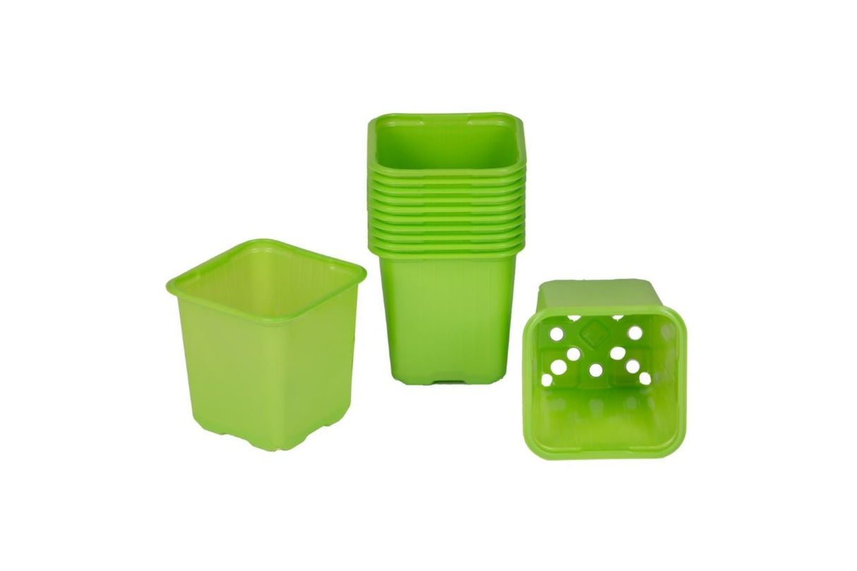 VEFI Hobbypotter 8 cm lime – 20 stk fargerike plantepotter til forkultivering