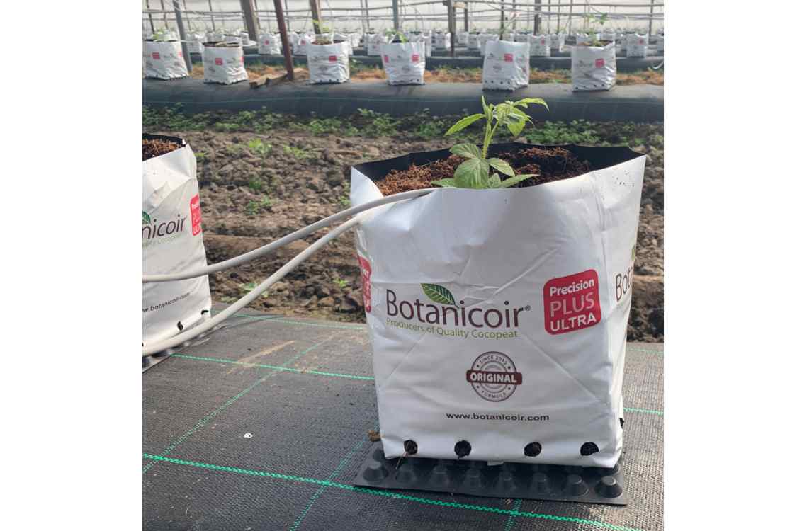 Dyrkingsmedium av kokosfiber vist i original emballasje.