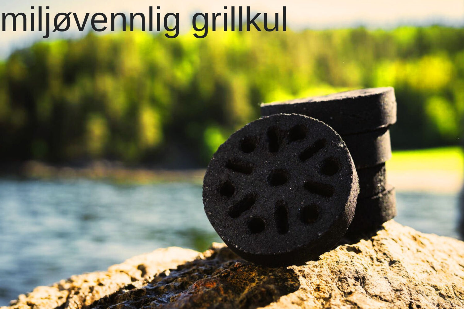 Safire grillbriketter kokosnøttskall 5 stk – miljøvennlig grillkull (erstatter Barbeco)