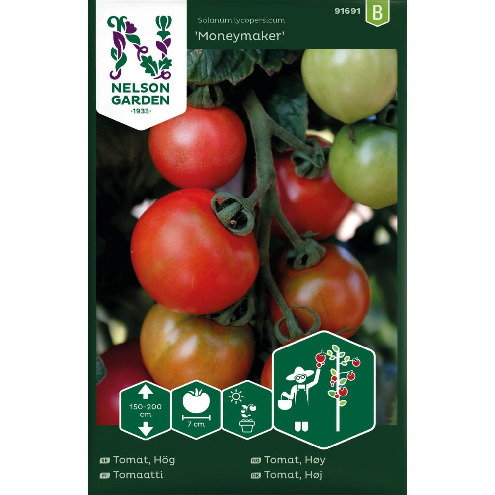 Tomat ‘Moneymaker’ – klassisk og smakfull salattomat