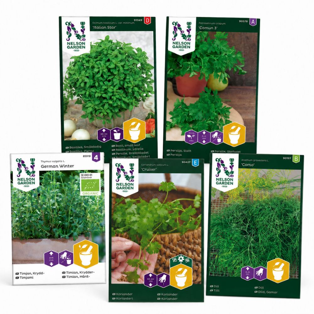 Nelson Garden frøpakke med basilikum, persille, timian, koriander og Como dill samlet på hvit bakgrunn.