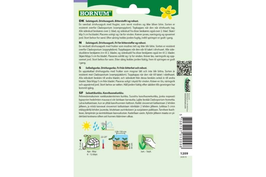 Agurk salat drivhus Saladin F1